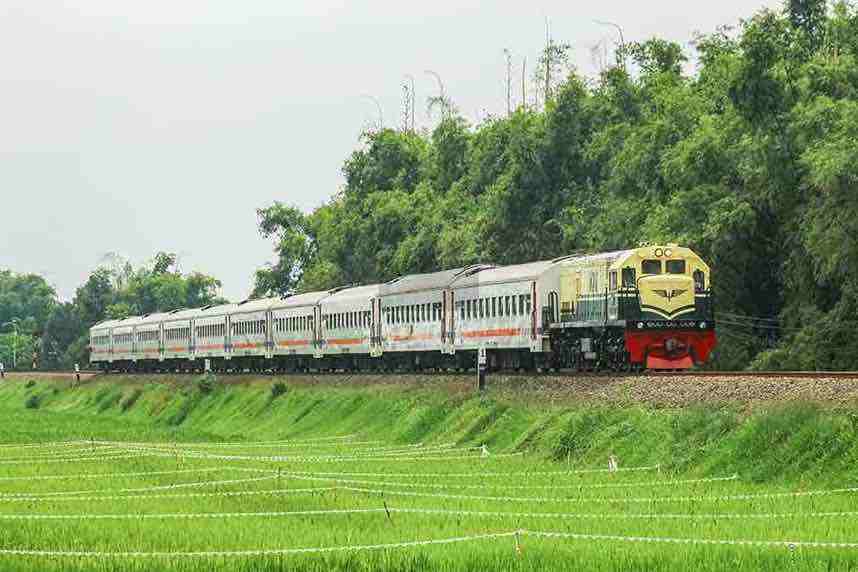 Kereta Api Melewati Persawahan