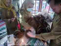 Kakek Pria 62 Tahun Asal Binangun Meninggal saat Mencari Jerami di Persawahan Selopuro Blitar