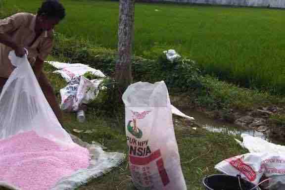 Petani di Kota Blitar Menggunakan Pupuk