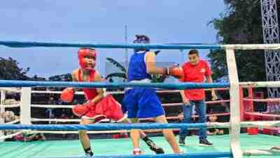 Wani Senggel Combat Sport Boxing Fight