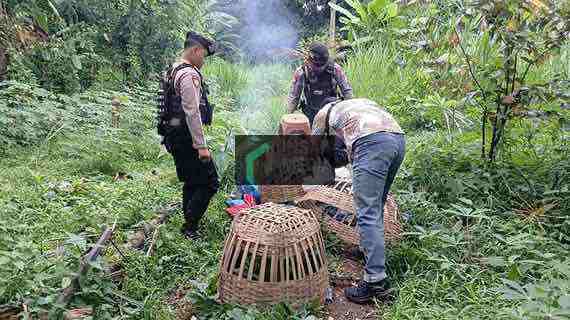 Anggota Polres Blitar Kota Bongkar Arena Sabung Ayam di Desa Jatilengger Kecamatan Ponggok Kabupaten Blitar