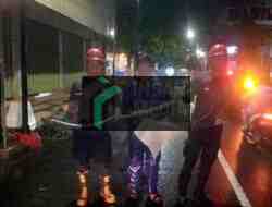 2025, Damkar Kota Blitar Lebih Sering Evakuasi Hewan Buas, Berikut Rinciannya