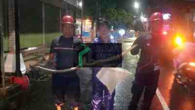 Damkar Kota Blitar Mengevakuasi Hewan Buas di Perkampungan Warga