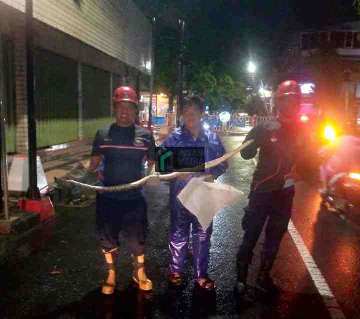 Damkar Kota Blitar Mengevakuasi Hewan Buas di Perkampungan Warga