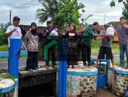 Penghujung Tahun, FKMP Purworejo Bersama Warga Menebar Benih Ikan di Saluran Irigasi