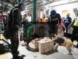 KAI Gunakan K9 Deteksi Narkoba di KA Parcel Jelang Natal dan Tahun Baru