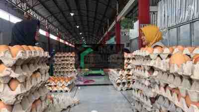 Penjual Talur Ayam di Pasar Tradisional