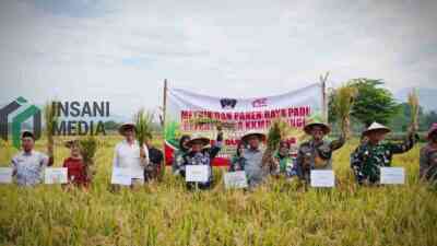 Bupati Blitar Rijanto Metik dan Panen Padi di Kecamatan Wlingi Mitra dari Koperasi Kelurahan Merah Putih KKMP