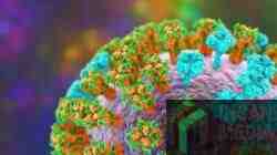 Pemkot Blitar Tingkatkan Kewaspadaan Campak, 21 Sampel Dikirim ke Surabaya