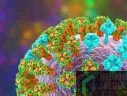 Ada Superflu, Dinkes Kota Blitar Imbau Warga Tenang