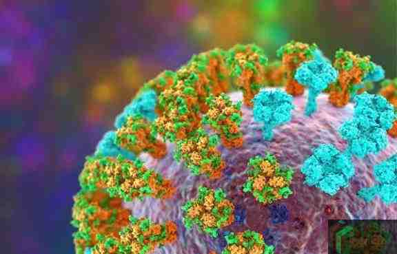 Ilustrasi Virus Influenza