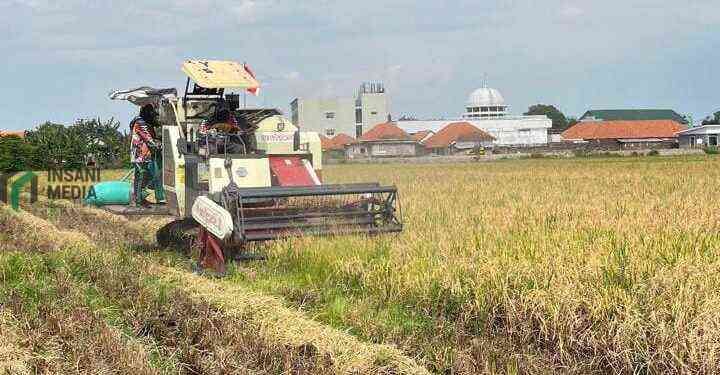 Petani di Kediri Istimewa