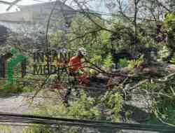 Dampak Angin Kencang 14 Lokasi di Kabupaten Blitar Alami Kerusakan