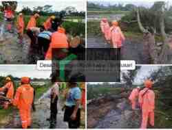 Angin Kencang Tumbangkan Pohon di Tiga Kecamatan di Blitar