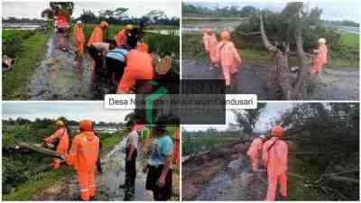 Angin Kencang Tumbangkan Pohon di Tiga Kecamatan di Blitar