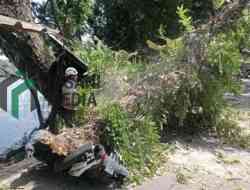 Ada Efisiensi, BPBD Kabupaten Blitar Tegaskan Tidak Mengganggu Penanganan Kedaruratan Bencana