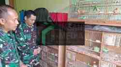 Sertu Supriyadi saat Melihat Kandang Kenari Miliknya