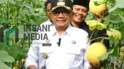 Bupati Blitar Rijanto Panen Melon di Greenhouse BUMDes Desa Bakung Kecamatan Udanawu