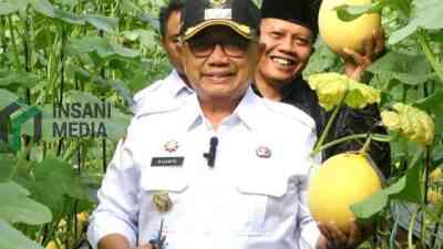 Bupati Blitar Rijanto Panen Melon di Greenhouse BUMDes Desa Bakung Kecamatan Udanawu