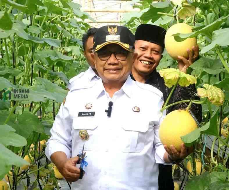 Bupati Blitar Rijanto Panen Melon di Greenhouse BUMDes Desa Bakung Kecamatan Udanawu