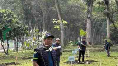 Direktut Utama PT Sinergi Gula Nusantara Mahmudi