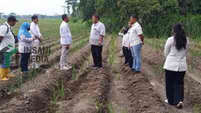 Tinjau Lapangan, Juni Yanto  Pastikan Program Tanaman Tebu PT SGN MKSO Berjalan Dengan Baik