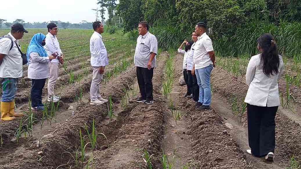 Tinjau Lapangan, Juni Yanto Pastikan Program Tanaman Tebu PT SGN MKSO Berjalan Dengan Baik General Manager PT SGN MKSO Kebun Dhoho Juniyanto dan jajaran manajemen saat Meninjau MKSO Kebun Dhoho