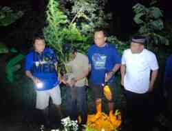 Tanam Ganja dalam Pot Bunga, Dua Warga Plosoklaten Kediri Dibekuk Polisi