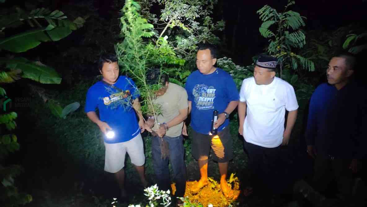 Tanam Ganja dalam Pot Bunga, Dua Warga Plosoklaten Kediri Dibekuk Polisi Polisi Mengungkap Warga Kecamatan Plosoklaten Kabupaten Blitar Menanam Pohon Ganja di Vas Bunga