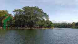Alami Pendangkalan, Waduk Blumbang Gede Desa Soso, Gandusari akan Dipulihkan untuk Irigasi dan Pengembangan Wisata Waduk Blumbang Gede Desa Soso Kecamatan Gandusari Kabupaten Blitar