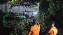 Angin Kencang dan Hujan Deras Terjang Blitar, Pohon Tumbang Rusak Rumah Warga