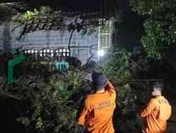 Angin Kencang dan Hujan Deras Terjang Blitar, Pohon Tumbang Rusak Rumah Warga