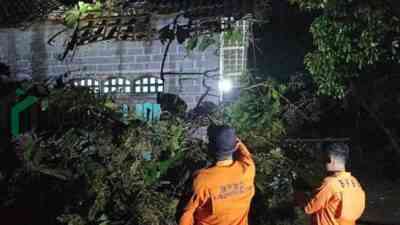 Angin Kencang dan Hujan Deras Terjang Blitar, Pohon Tumbang Rusak Rumah Warga