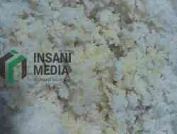 Petugas Lapas Blitar Gagalkan Penyelundupan Pil LL Bercampur Nasi