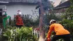 Hujan dan Angin Kencang Rusak Rumah Warga di Gandusari, Blitar