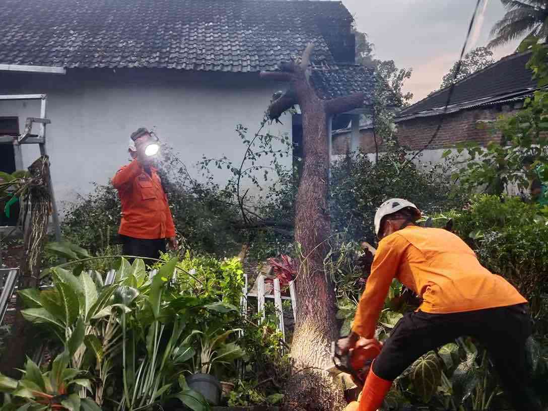 Pohon Tumbang Menimpa Rumah Warga di Kecamatan Gandusari Kabupaten Blitar