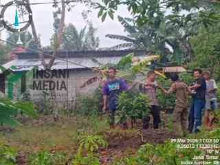 Polisi BPBD dan Warga saat Menangani Pohon Tumbang di Siti Julaika di Desa Tambahan wilayah Gandusari Kabupaten Blitar