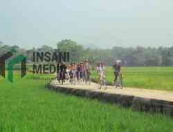 Sawah Padi Destinasi Wisata Kulon Progo