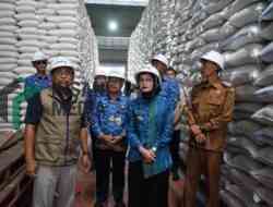 Stok Beras Melimpah, Bulog Kediri Kirim 1.000 Ton ke Papua dan NTT