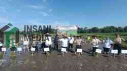 Pemkab Blitar Genjot Tanam Padi Inpari Jelang Kemarau