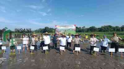 Bupati Blitar Rijanto saat Tanam Padi di Desa Butun Kecamatan Gandusari