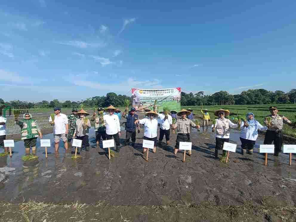 Bupati Blitar Rijanto saat Tanam Padi di Desa Butun Kecamatan Gandusari