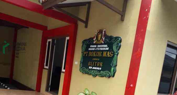 Insani media bokor mas