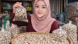 Ilustrasi Telur Puyuh