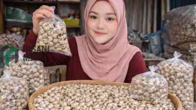 Harga Telur Puyuh Anjlok, Peternak Blitar Tertekan Biaya Pakan