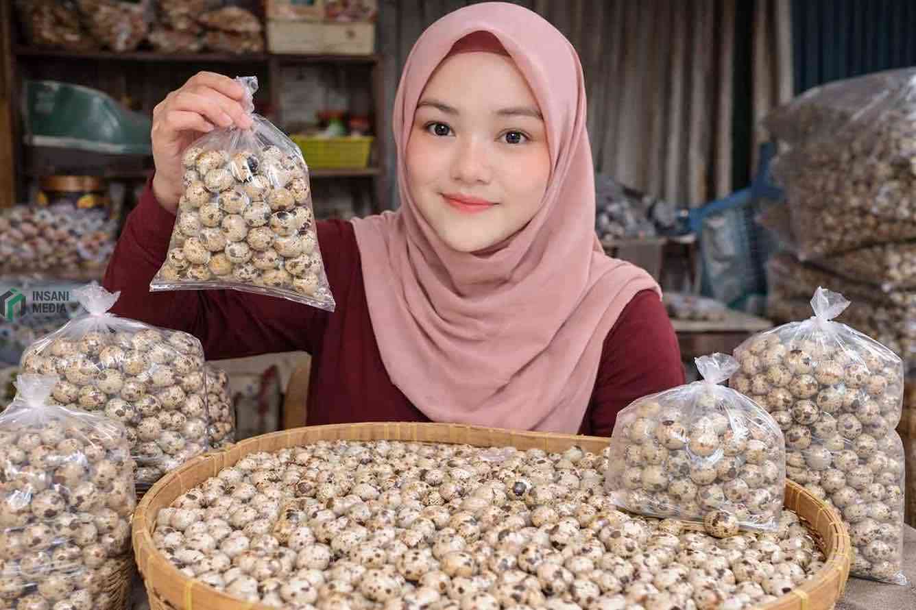 Ilustrasi Telur Puyuh