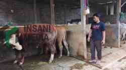 Pemuda di Purworejo Raup Untung dari Bisnis Ternak Kurban