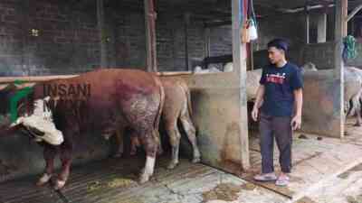 Mahrus Seorang Pemuda Raup Untung dari Jual Beli Binatang Kurban di Purworejo