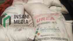 Harga Urea Global Melambung Imbas Konflik Timur Tengah, Stok dan HET Pupuk Domestik Dipastikan Aman Pupuk Bersubsidi