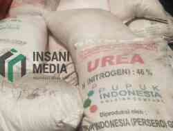 Harga Urea Global Melambung Imbas Konflik Timur Tengah, Stok dan HET Pupuk Domestik Dipastikan Aman